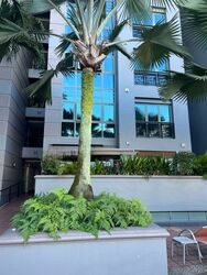 The Quayside (D9), Apartment #579052741